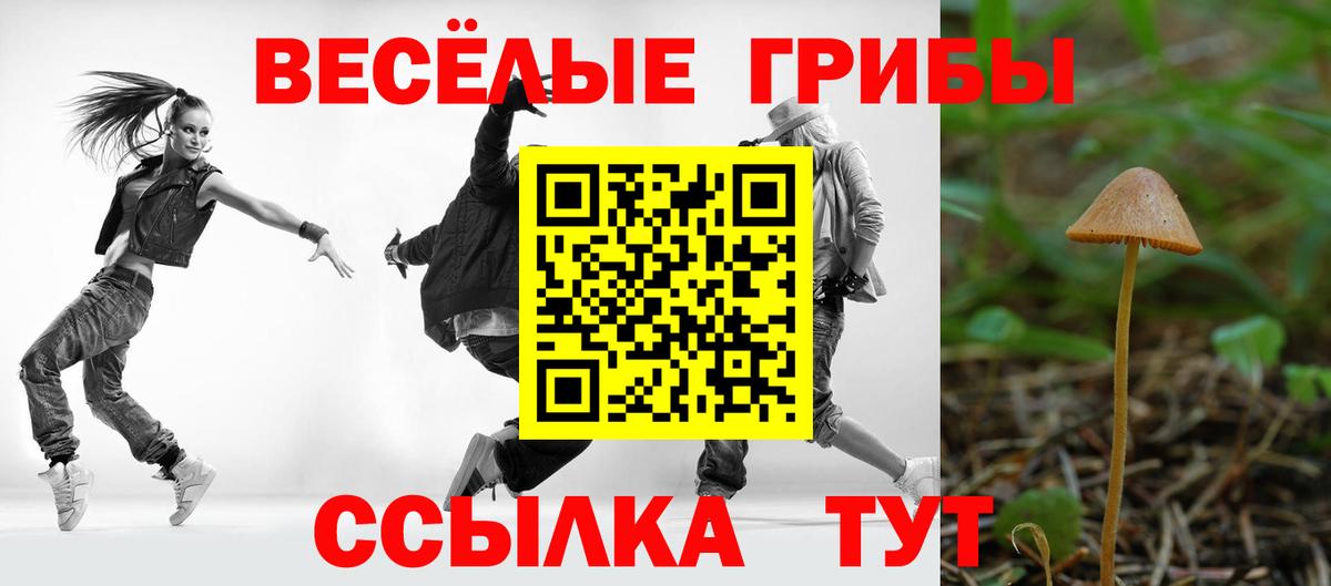 Псилоцибиновые грибы Psilocybine cubensis Выборг